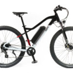 Sigma E-MTB Falco 29″ black/white/red
